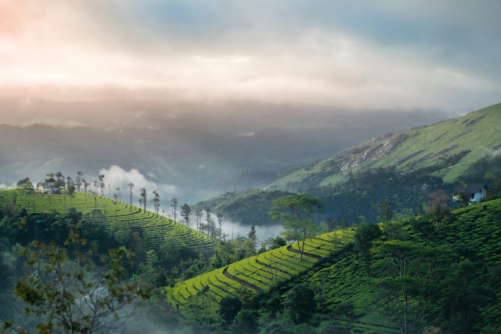 Kerala: Vagamon Nature & Culture Tour